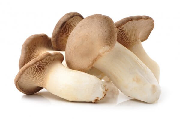 Eringi mushrooms