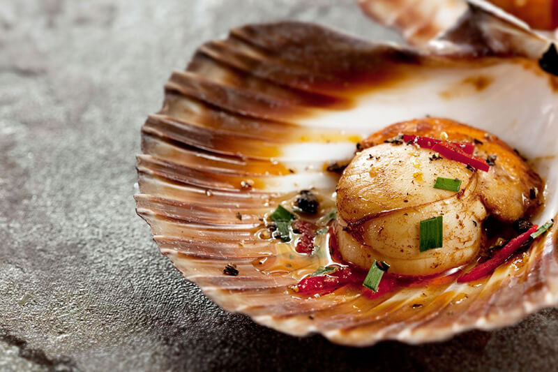 Scallops