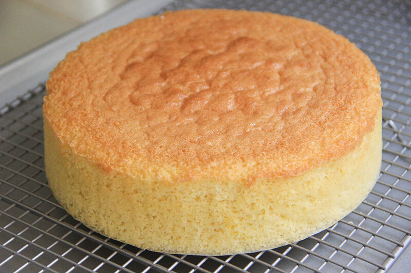 Sponge cake