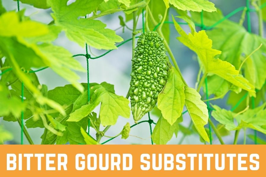 11 Best Bitter Gourd Substitutes: Which One Is The Best For You?