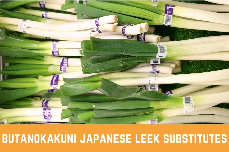 butanokakuni japanese leek substitutes