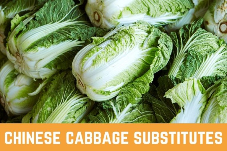 10 Best Chinese Cabbage Substitutes Which One Is The Best For You?