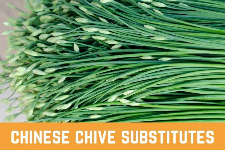 Chinese Chive Substitutes Here Are Some Alternatives You Can Choose
