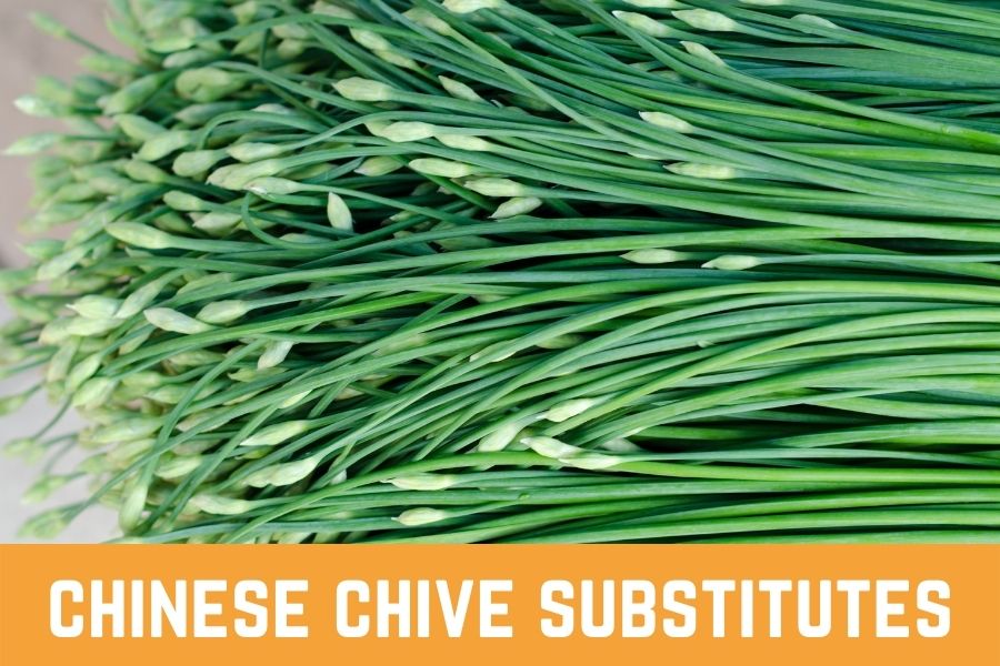 chinese chive substitutes