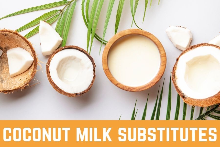 coconut milk substitutes