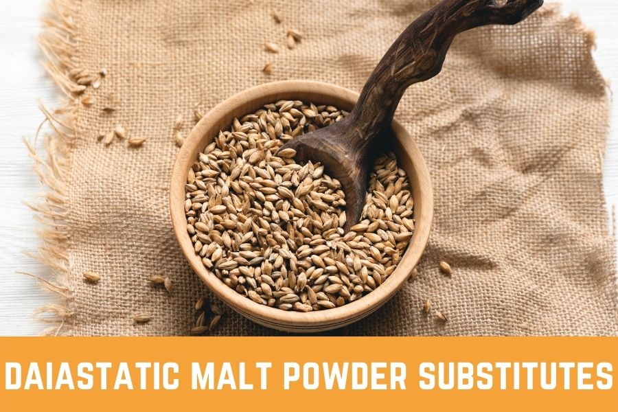 daiastatic malt powder substitutes