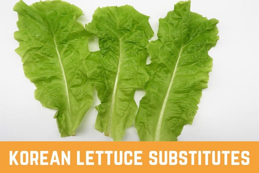korean lettuce substitutes