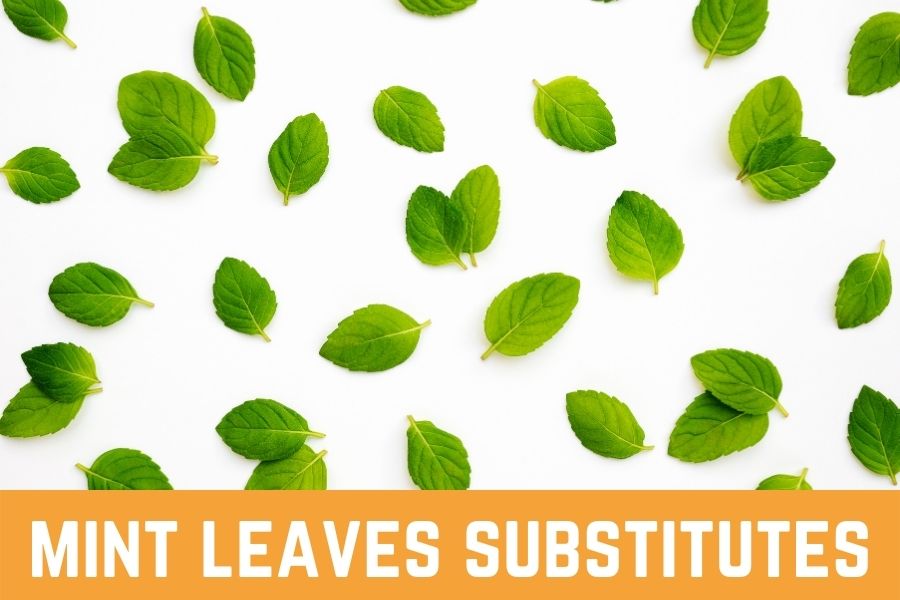 mint leaves substitutes