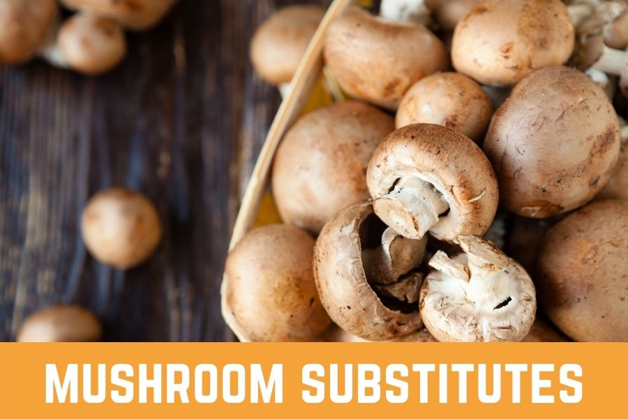 mushroom substitutes